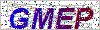 Enter the verification codeGMEP