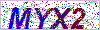 輸入驗證碼MYX2